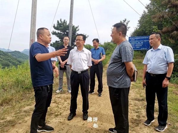 史邦俭检查指导近期重点工作