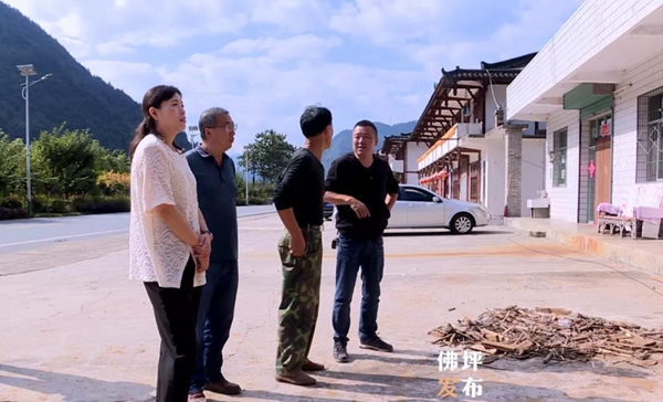 王晴督导检查地质灾害点防治工作 - 政务要闻 - 佛坪